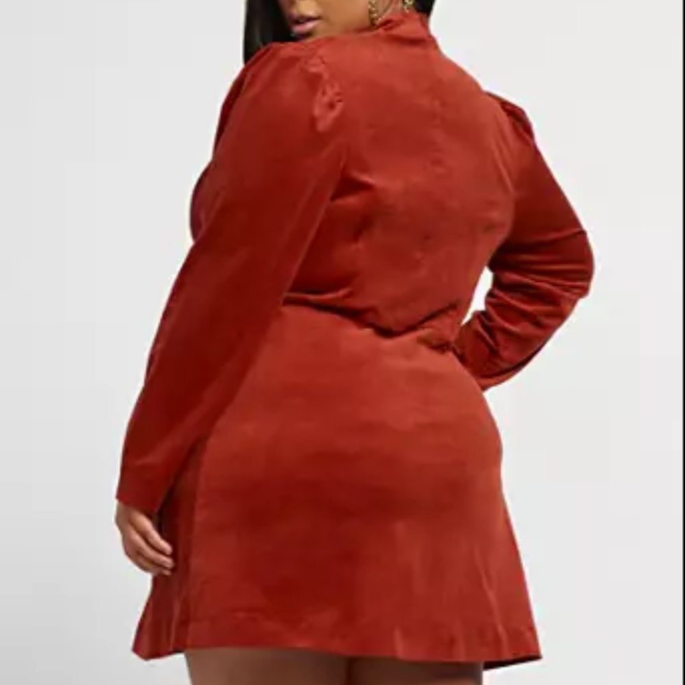 Rust Zip-Up Mini Dress - Picture 2 of 4